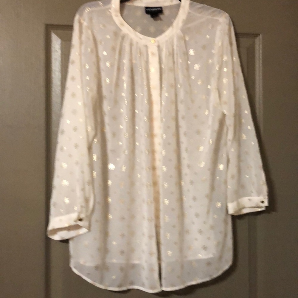Liz Claiborne Spring sheer long sleeved blouse.